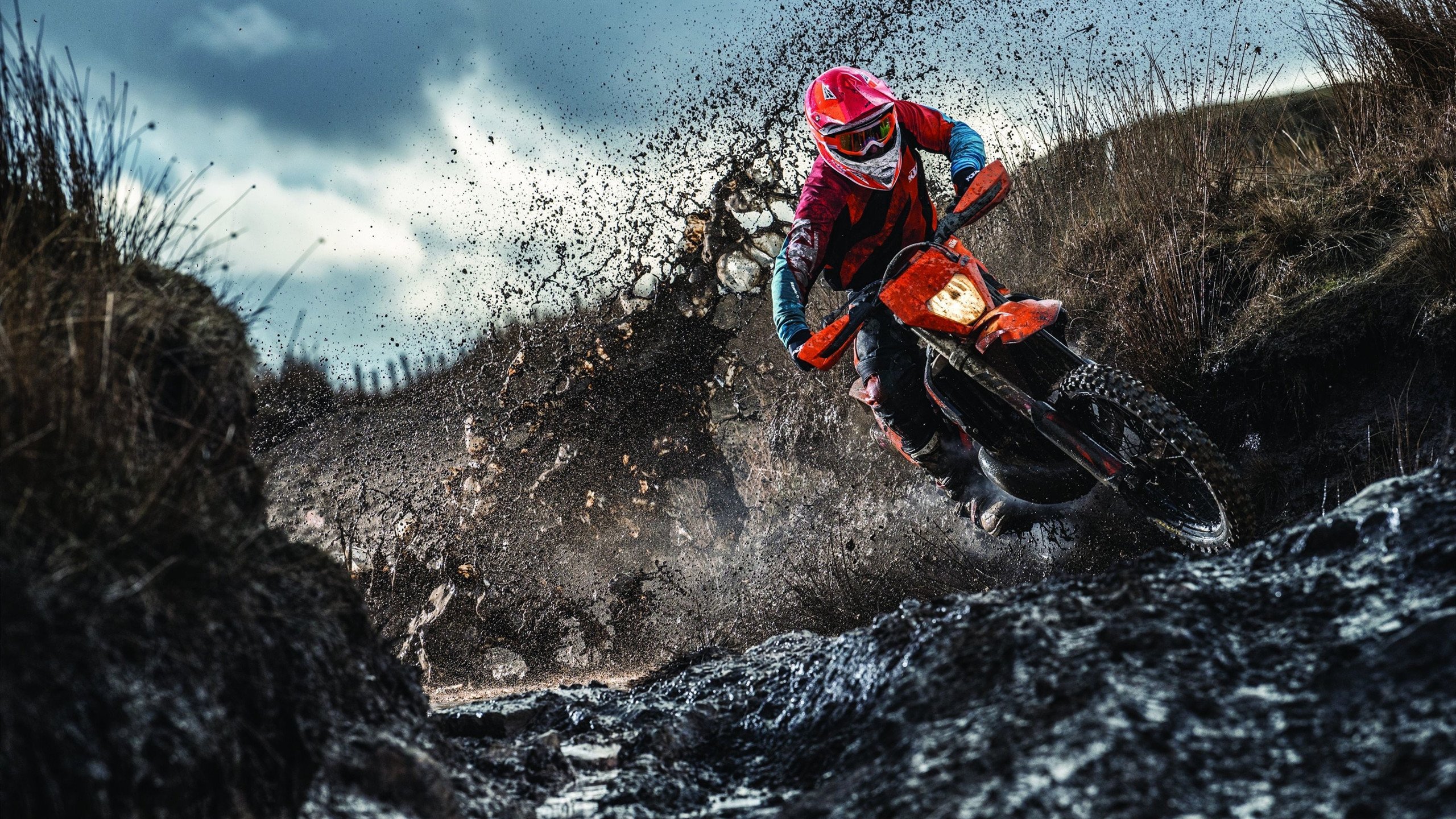 网坛天后归来引爆热议，英超争议判罚再掀狂澜